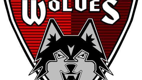 Wolves Official Logo (since 2007)